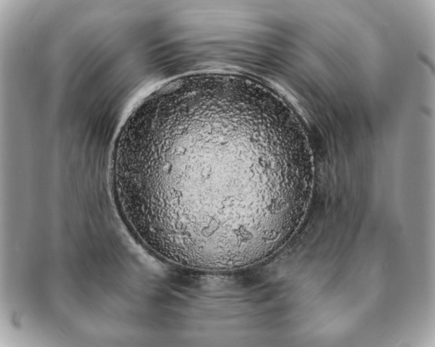 X0000091201379200708161604