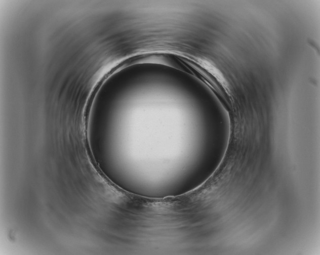 X0000091201380200708161604