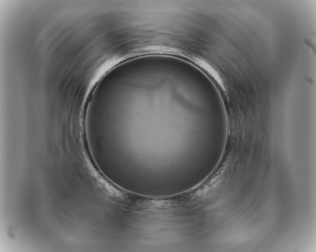 X0000091201381200708161604