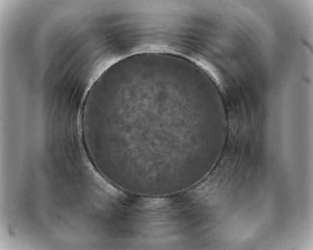X0000091201382200708161604