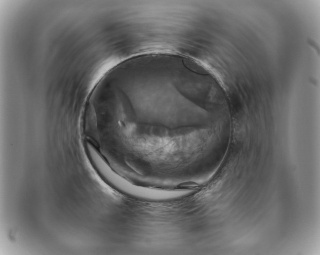 X0000091201383200708161604
