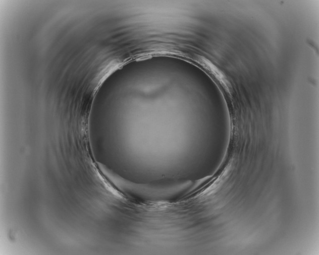 X0000091201385200708161604