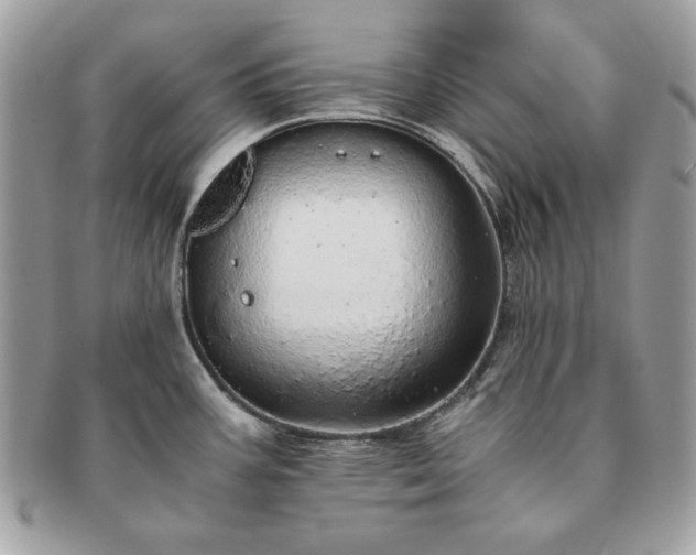 X0000091201387200708161604
