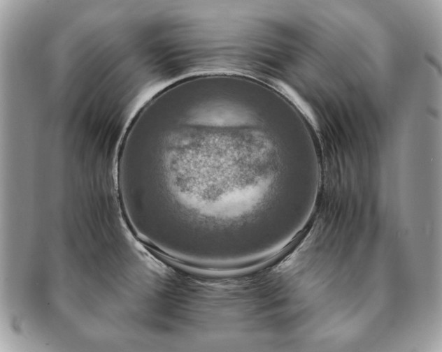 X0000091201388200708161604