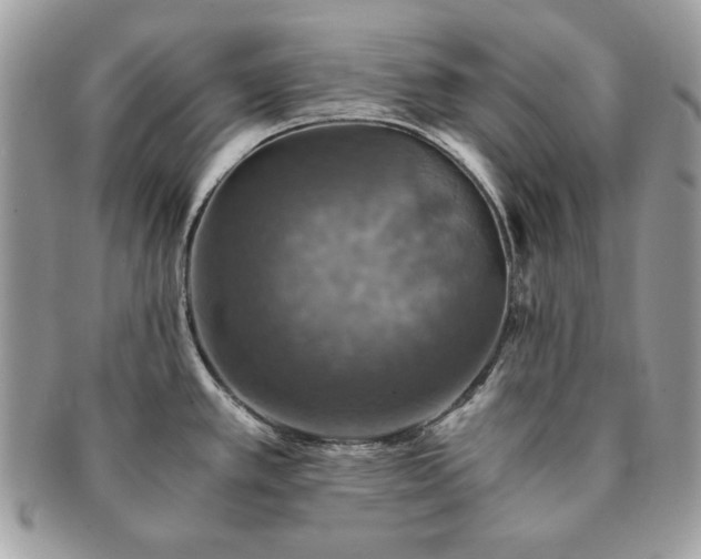 X0000091201389200708161604