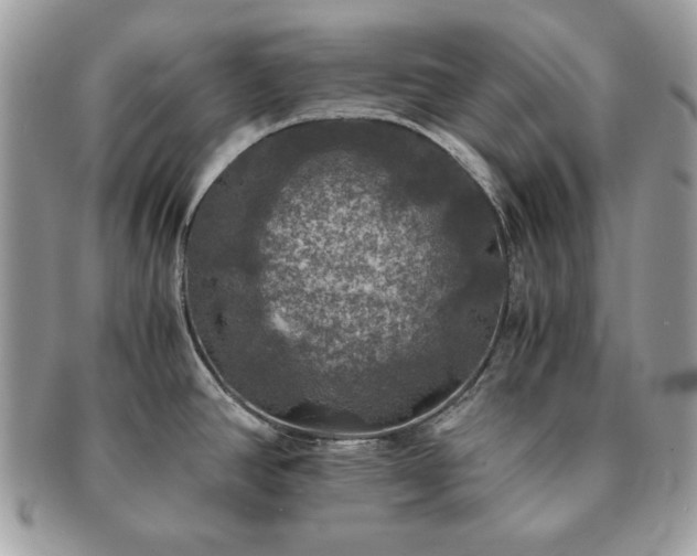 X0000091201390200708161604