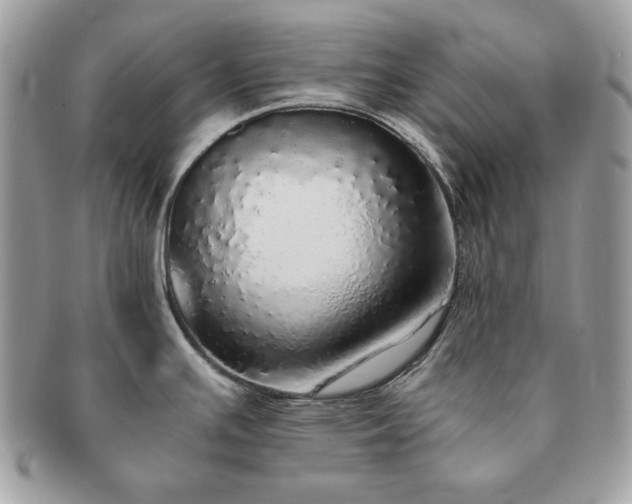 X0000091201391200708161604