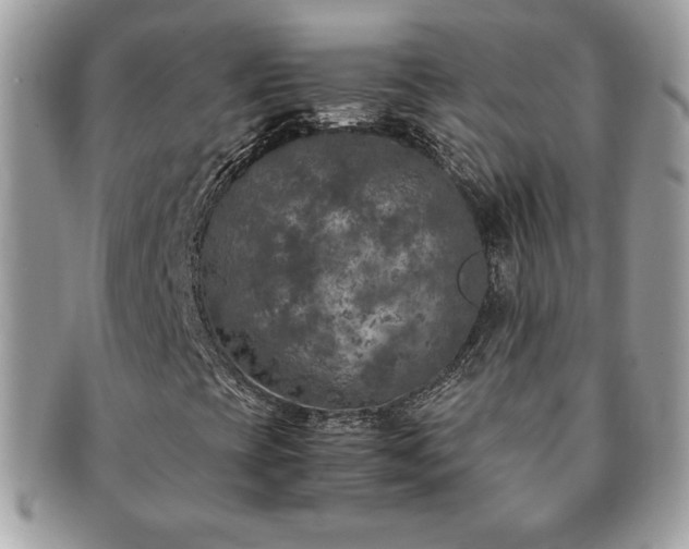 X0000091201393200708161604