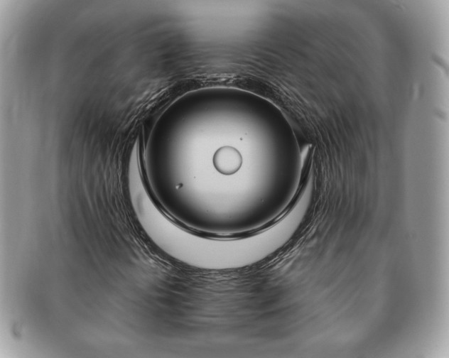 X0000091201394200708161604