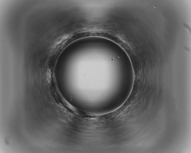 X0000091201398200708161604