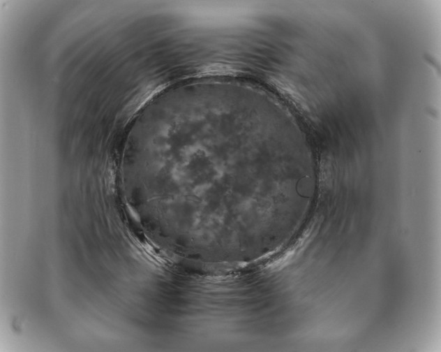 X0000091201401200708161604
