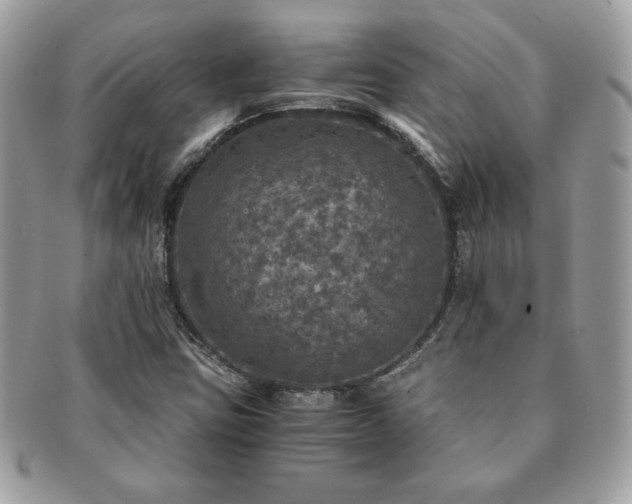 X0000091201403200708161604