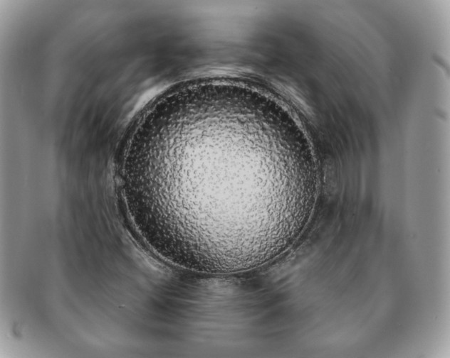 X0000091201404200708161604