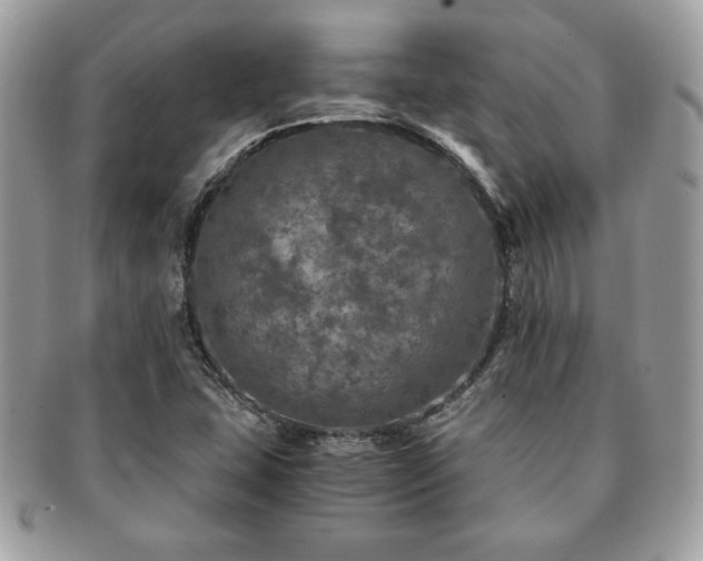 X0000091201407200708161604