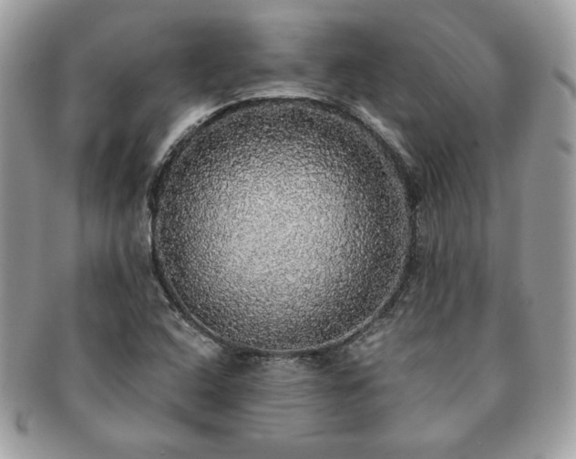 X0000091201408200708161604
