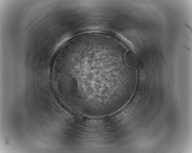 X0000091201411200708161604