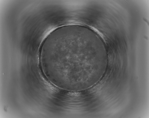 X0000091201415200708161604