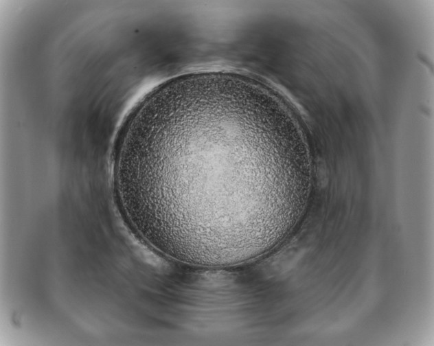 X0000091201416200708161604