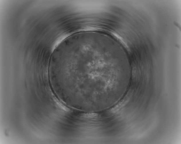 X0000091201417200708161604