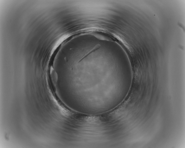 X0000091201418200708161604