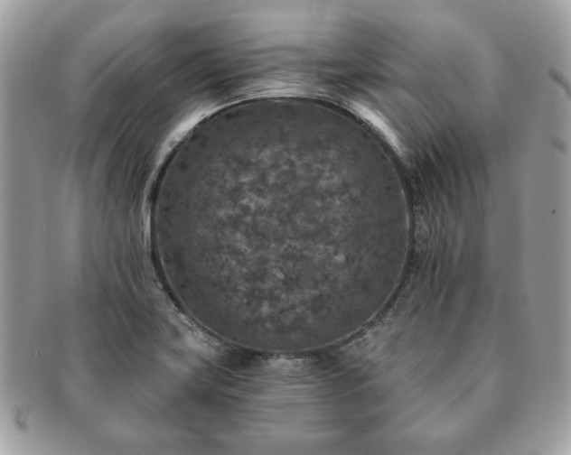 X0000091201419200708161604