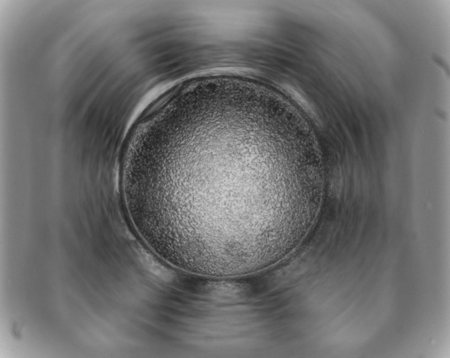 X0000091201420200708161604