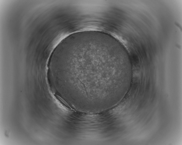 X0000091201423200708161604