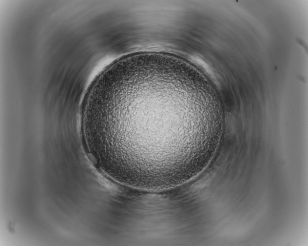 X0000091201424200708161604