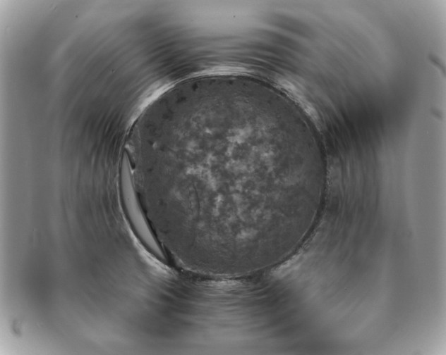 X0000091201425200708161604