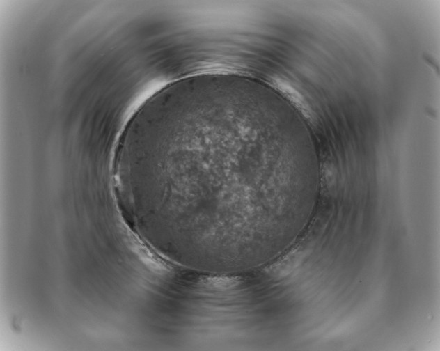 X0000091201427200708161604