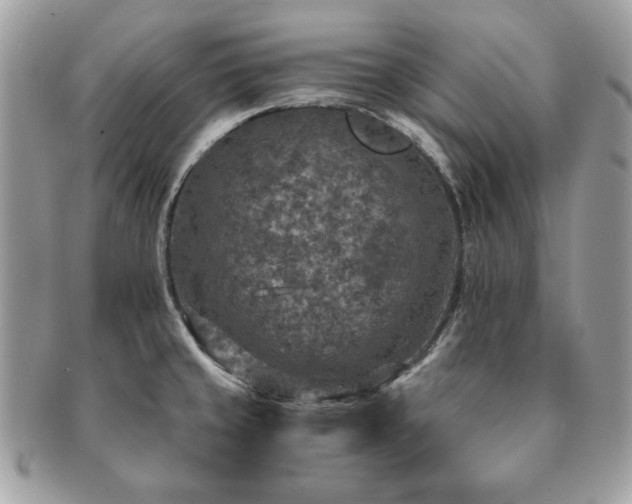 X0000091201429200708161604