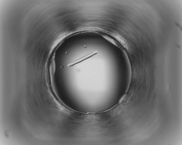 X0000091201430200708161604