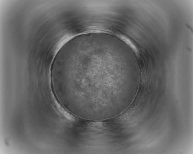 X0000091201431200708161604