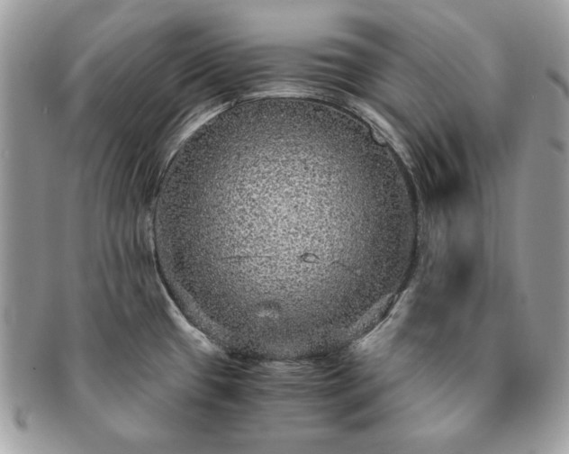 X0000091201433200708161604