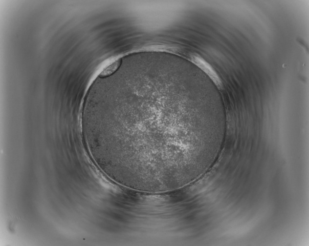 X0000091201436200708161604