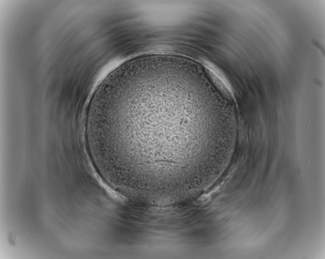 X0000091201437200708161604