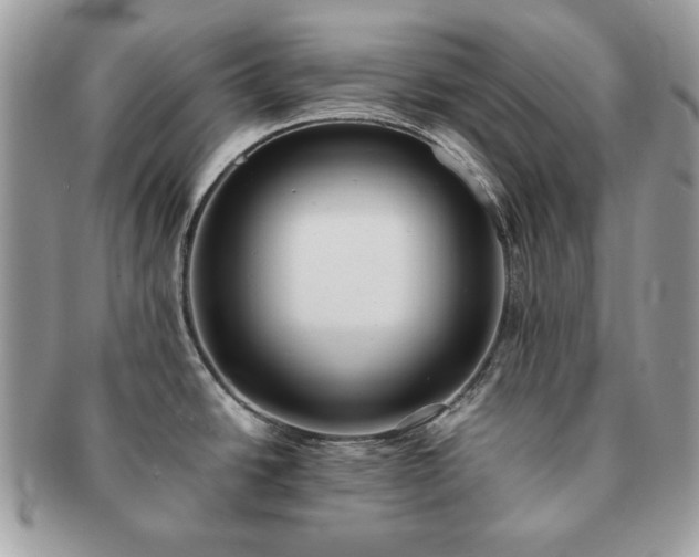 X0000091201438200708161604