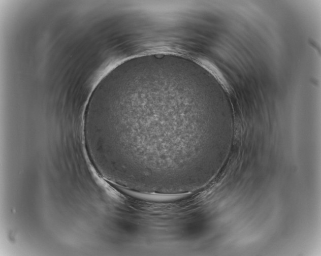 X0000091201439200708161604