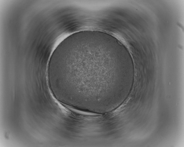 X0000091201440200708161604