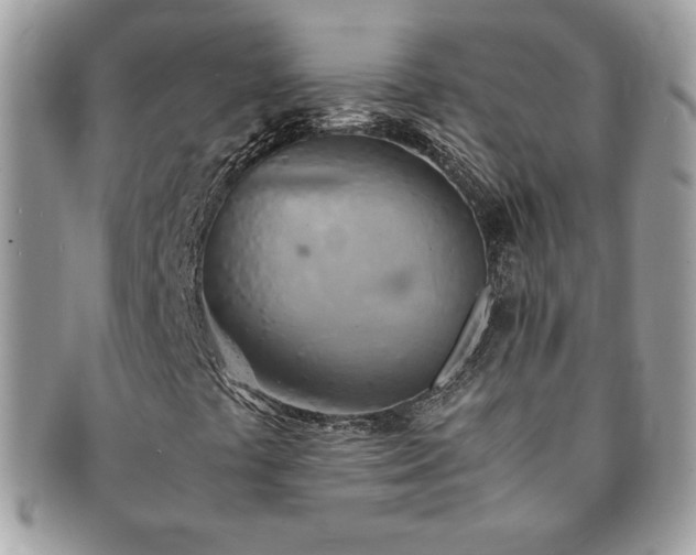 X0000091201441200708161604