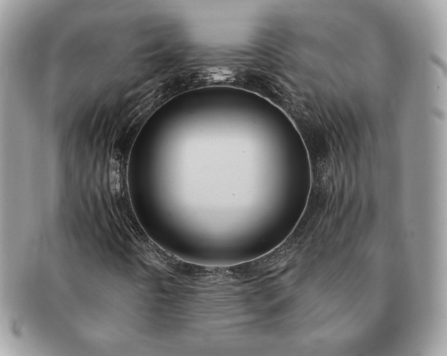 X0000091201442200708161604
