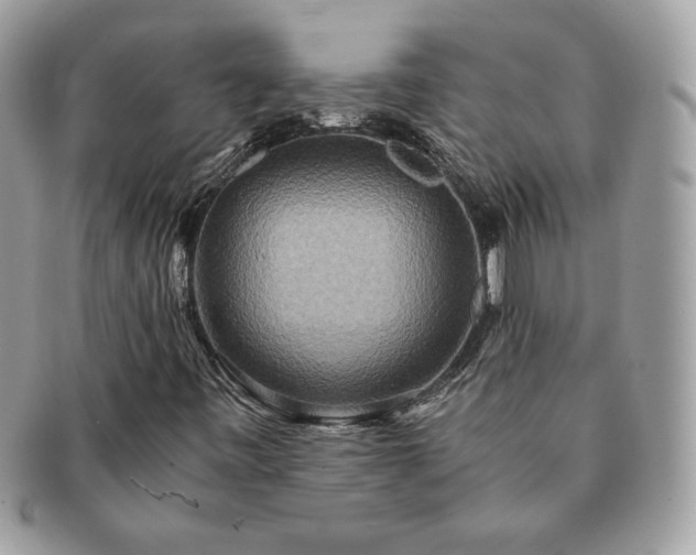 X0000091201443200708161604