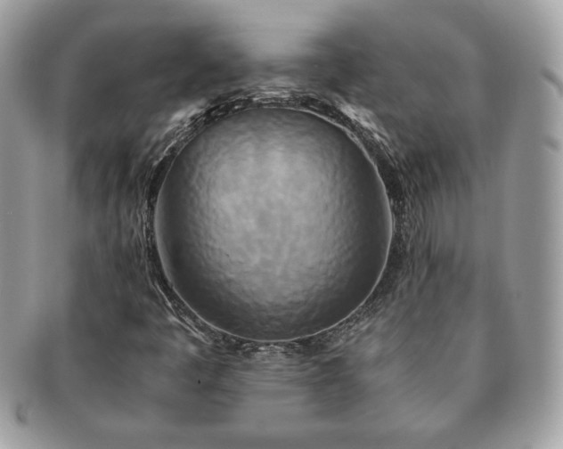 X0000091201445200708161604
