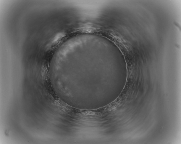 X0000091201446200708161604