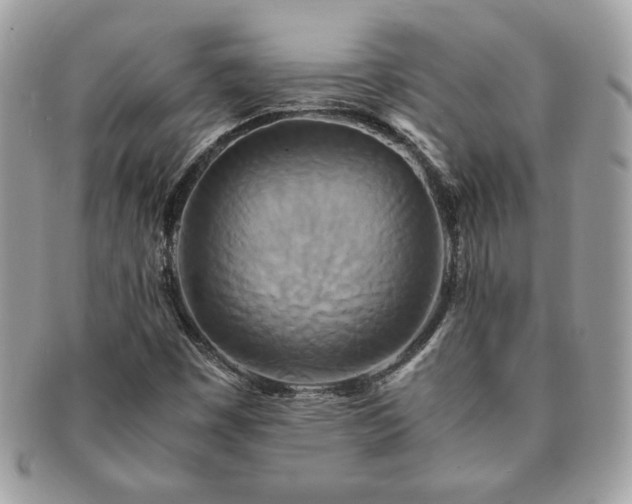 X0000091201449200708161603