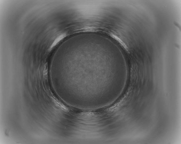 X0000091201450200708161603