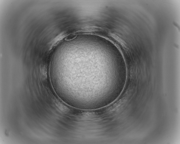 X0000091201451200708161603