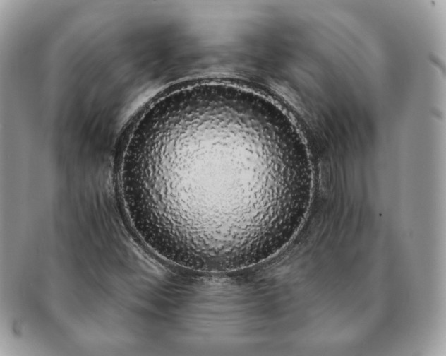 X0000091201452200708161603