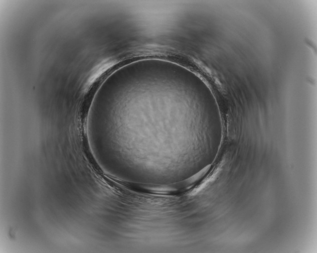 X0000091201453200708161603