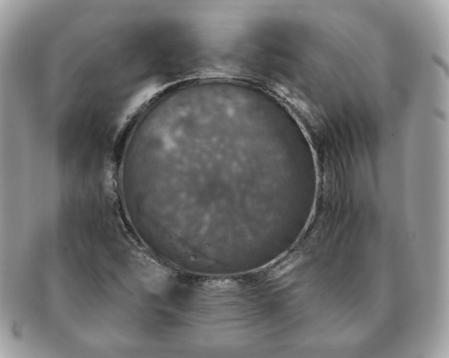 X0000091201454200708161603